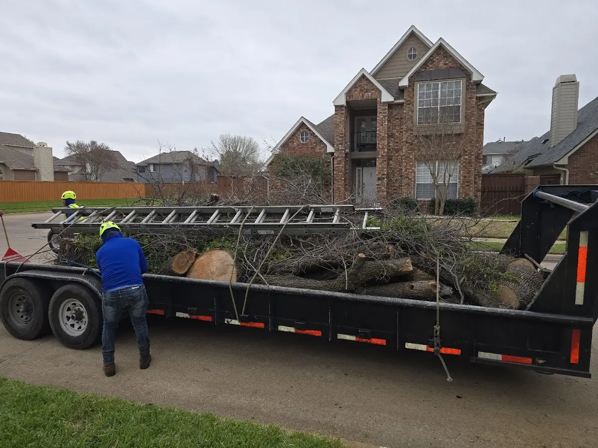 Expert Lot Clearing with proper safety equipment in Edgerton